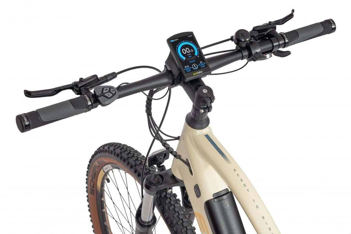 Ecobike SX 300 Copper Black Electric bike