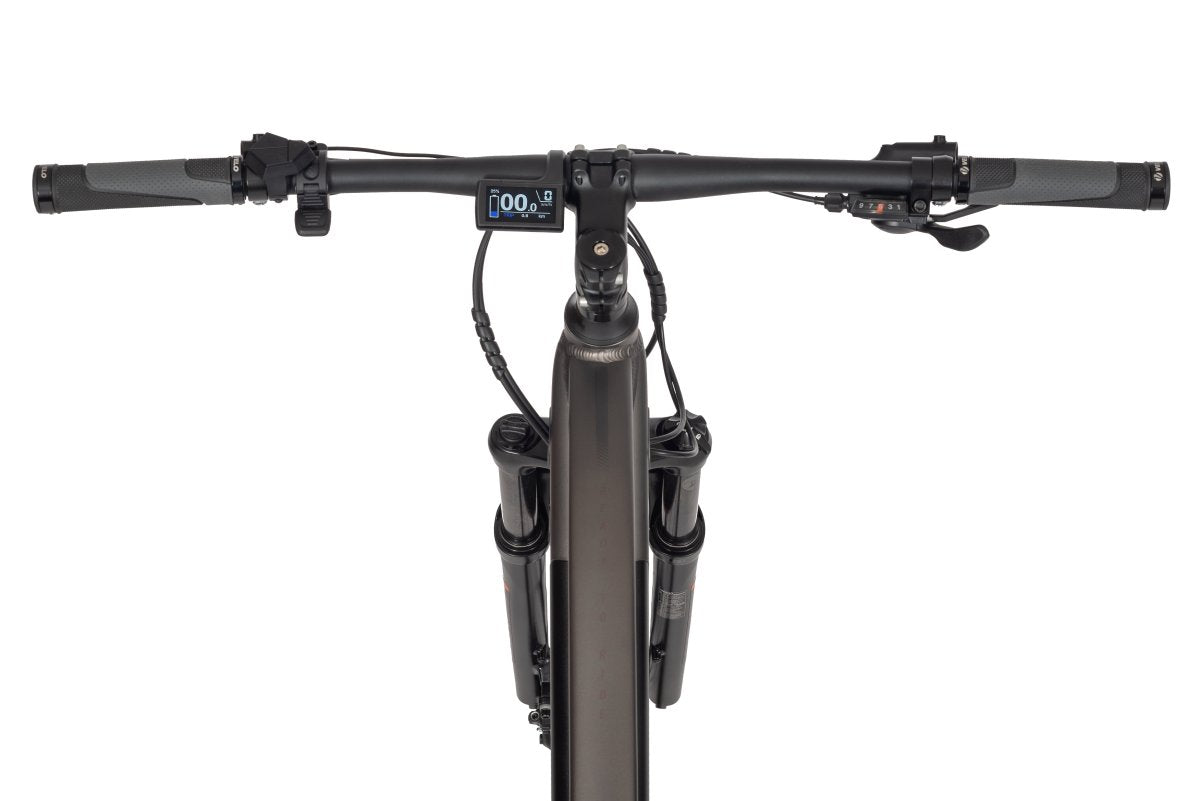 Ecobike SX 300 Copper Black Electric bike