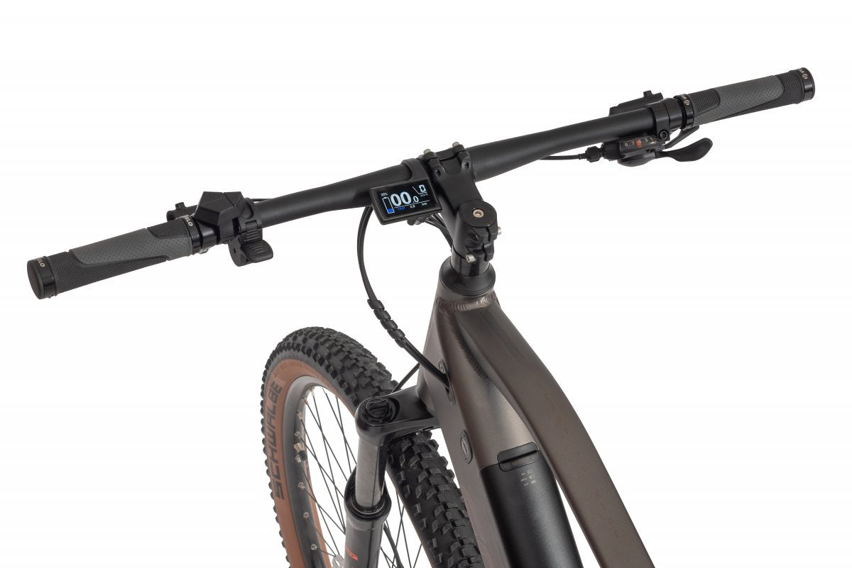 Ecobike SX 300 Copper Black Electric bike