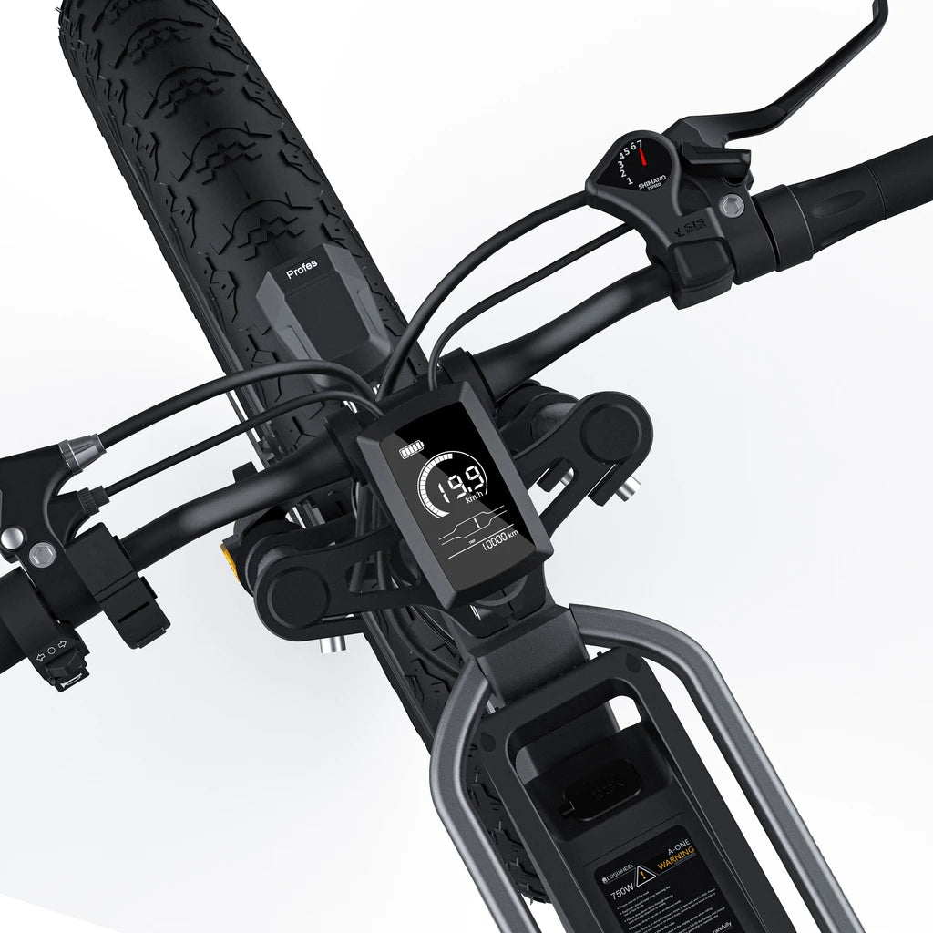 Coswheel T26 mountain ebike. LCD display.