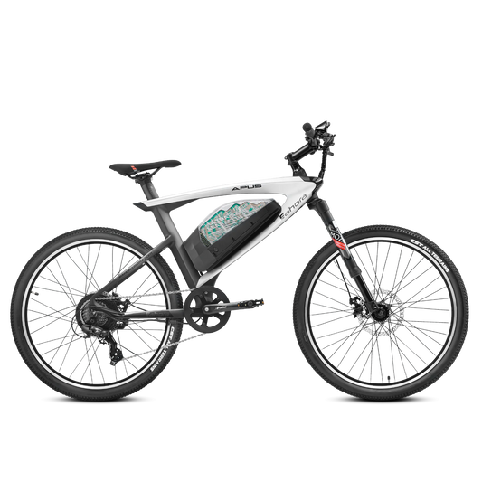 Eahora APUS 750W 20Ah