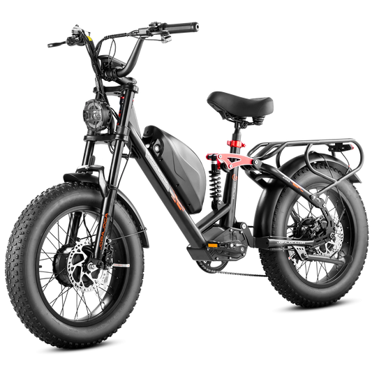 Eahora Luna II 1000W Dual motor Electric Bike