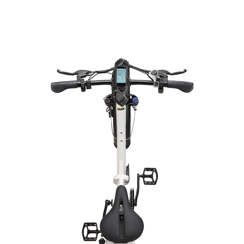 Cyclefort Fat Tire Electric Bike L10