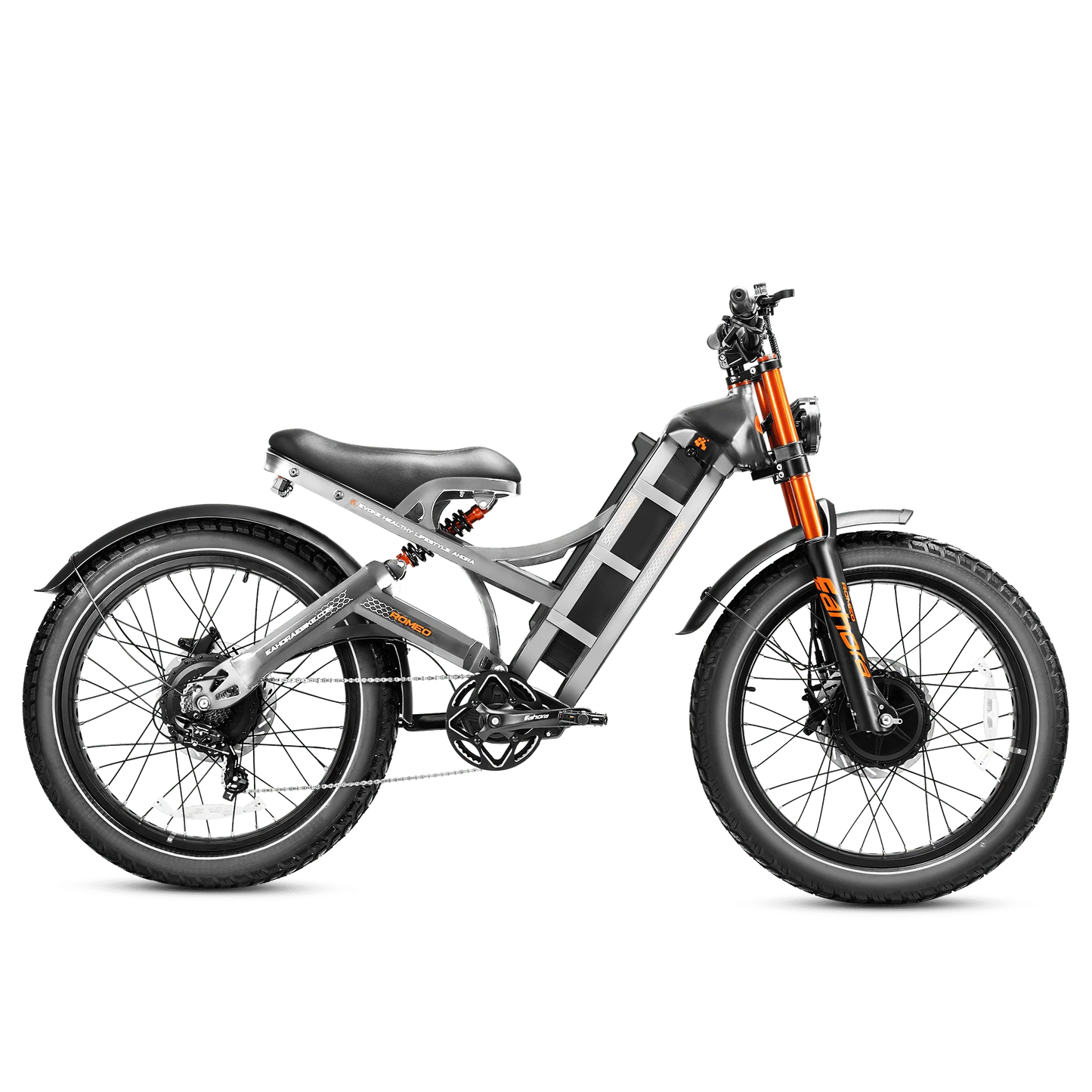 Eahora Romeo Pro II electric bike Grey