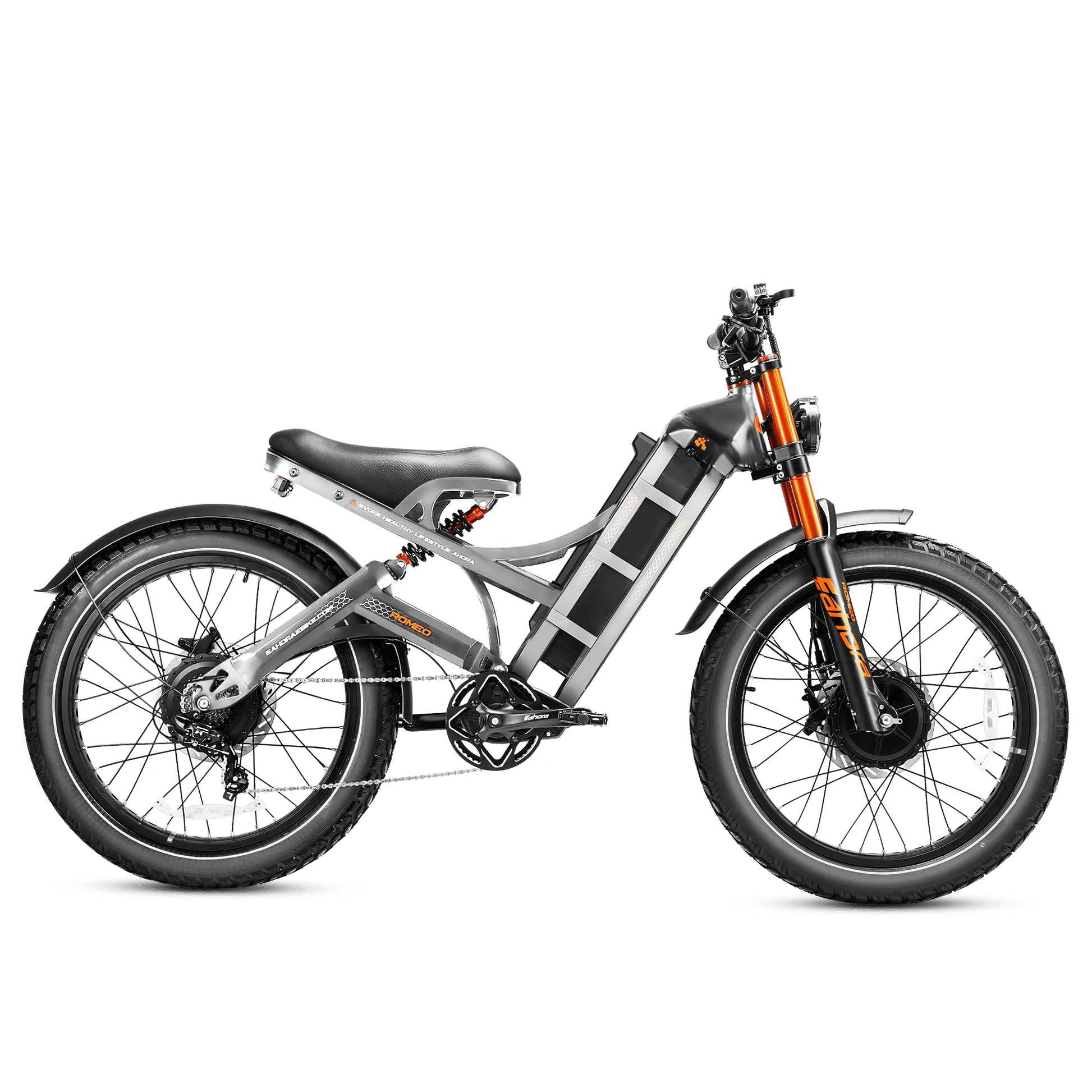 Eahora Romeo Pro II electric bike Grey