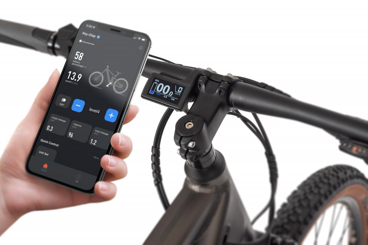 Ecobike SX 300 Copper Black Electric bike