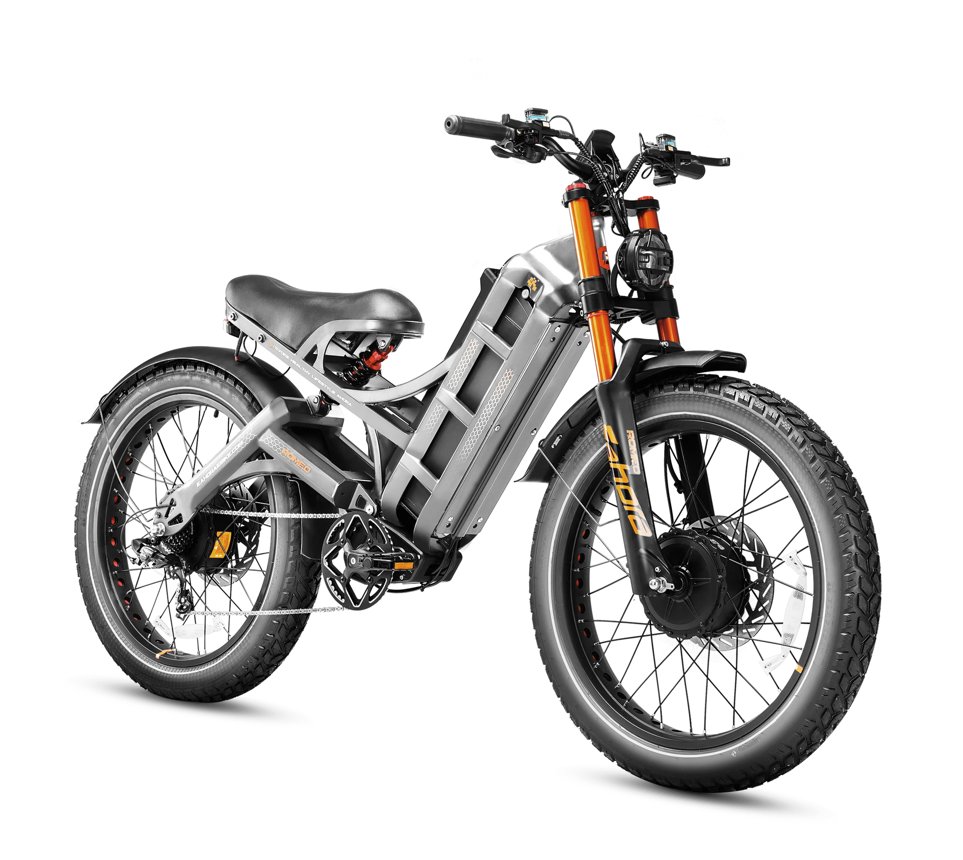 Eahora Romeo Pro II electric bike Gray