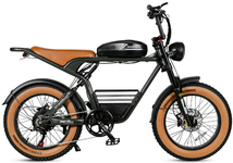 SAMEBIKE M20 1000W Electric Bike