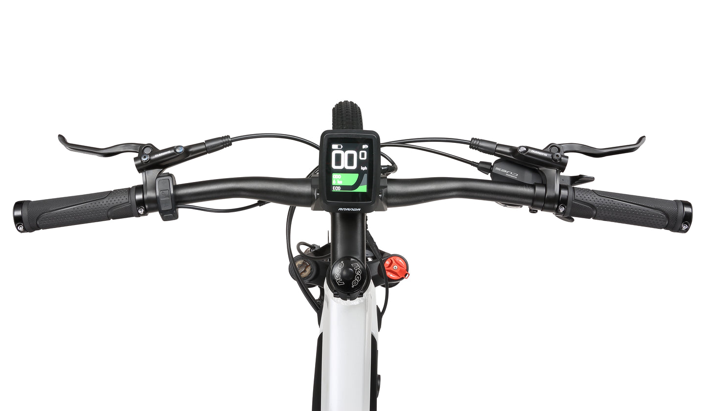 Cyclefort Electric Mountain Bike L5