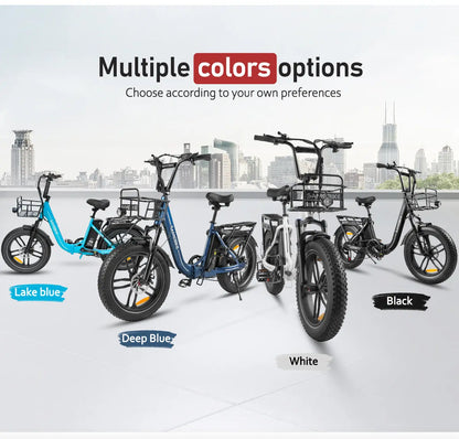 SAMEBIKE C05 Pro Foldable Fat Tire Ebike
