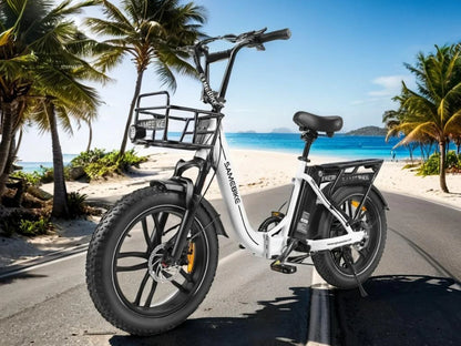 SAMEBIKE C05 Pro Foldable Fat Tire Ebike