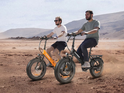 SAMEBIKE LOTDM200-II 750W Folding electric bicycle