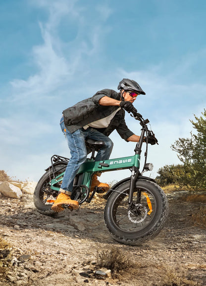 EP-2 3.0 Boost EU Legal 250W 75Nm 120km Torque Sensor E-Bike
