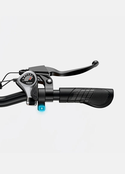 Engwe EP-2 Boost EU Legal 250W 120km Boost Power Torque Sensor All-Terrain E-Bike